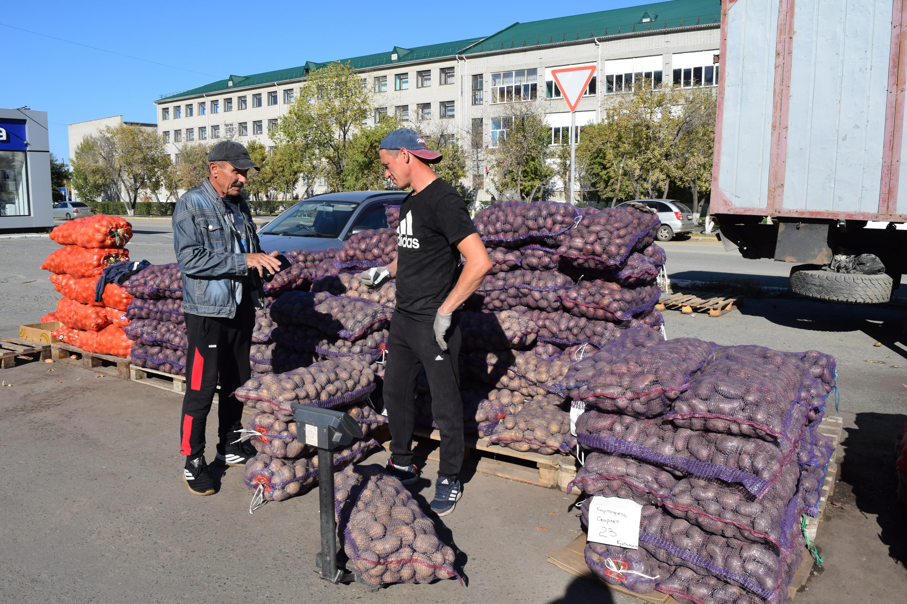 Сколько стоит продукция на ярмарке «Дары осени» в Кургане - 21 сентября  2023 - 45.ру