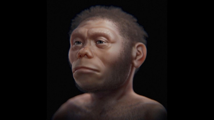 Дальняя родня из Индонезии: вот как выглядели «хоббиты», которые жили на Земле 18 тысяч лет назад