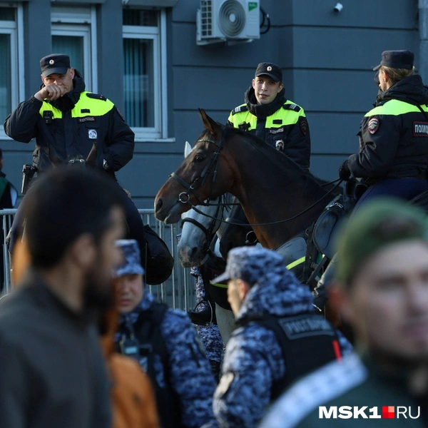 На месте дежурит конная полиция | Источник: Артем Устюжанин / MSK1.RU