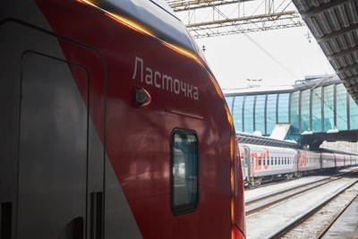 «Ласточка» Москва-Курск застряла у Тулы