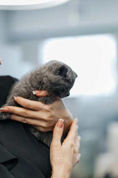 Источник: Ксения Зимина