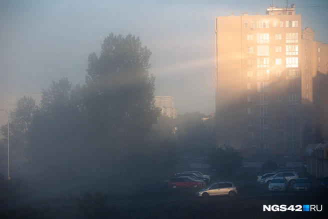 Видимость в тумане сильно падала | Источник: Максим Серков / NGS42.RU
