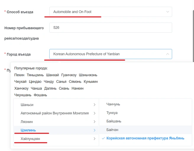 Источник: https://s.nia.gov.cn/ArrivalCardFillingPC/entry-registation-home