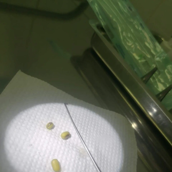 Источник: Ганеева Эльвира