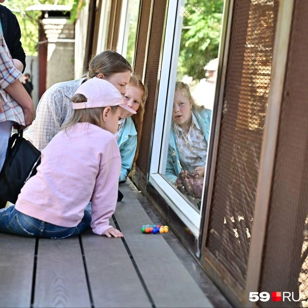 Источник: Василина Любимова / 59.RU 