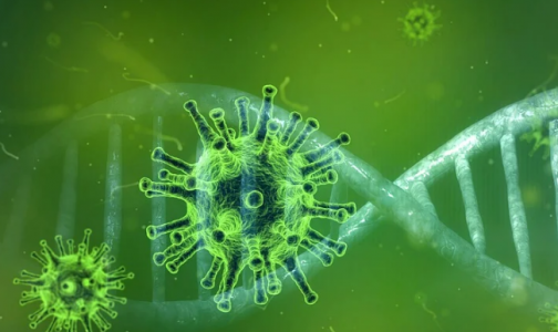 В ВОЗ исключили одну из версий происхождения коронавируса