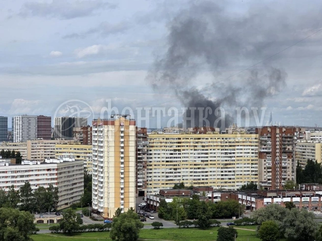 Очевидцы сообщают о столбе чёрного дыма на юго-западе Петербурга | Источник: читатель «Фонтанки»