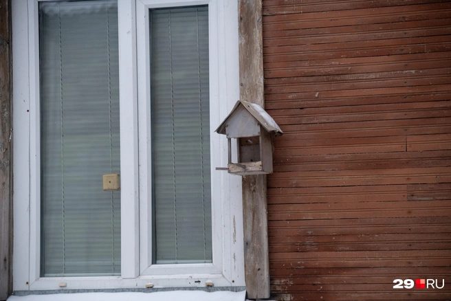 Источник: Иван Митюшёв / 29.RU