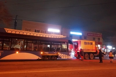 Lion Cub Tram Derails in Volgograd