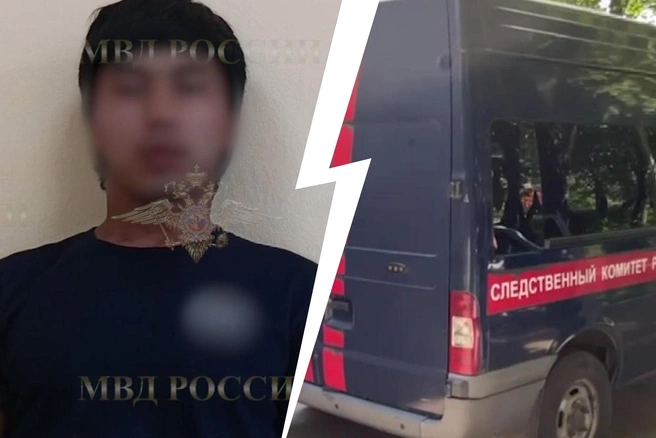 Появились подробности убийства бизнесмена из Подмосковья и покушения на убийство сына | Источник: Ирина Волк, Следком / T.me