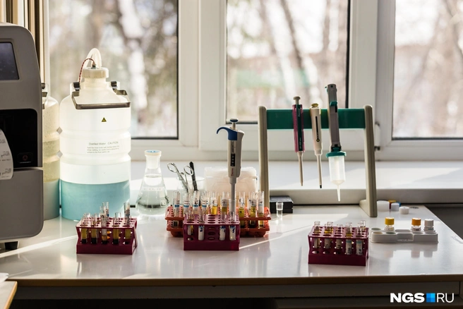 Кровь на анализ берут из вены | Источник: Ольга Бурлакова / NGS.RU