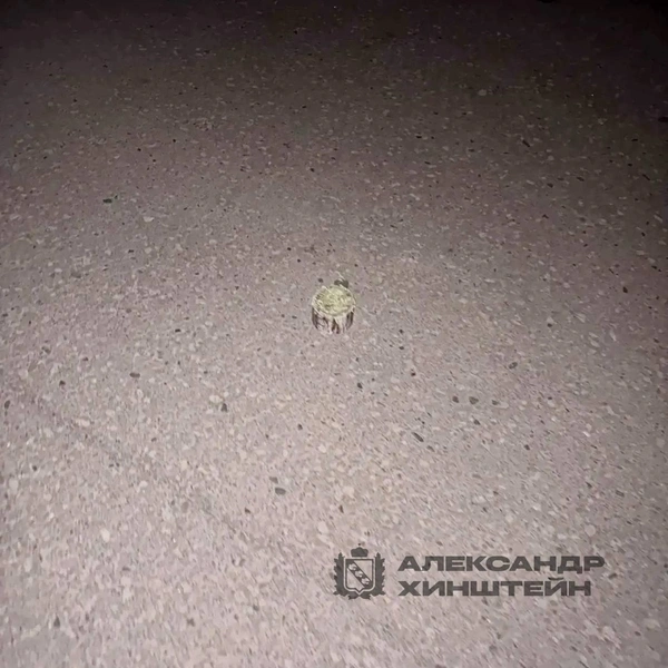 Источник: Александр Хинштейн