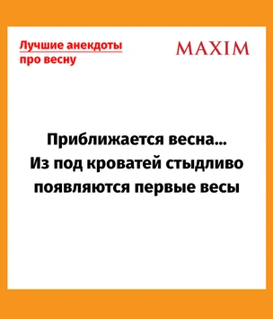 Лучшие анекдоты про весну