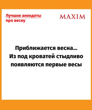 Лучшие анекдоты про весну