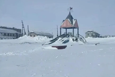 Следствие требует отчёт по делу о нападении собак на Диксоне