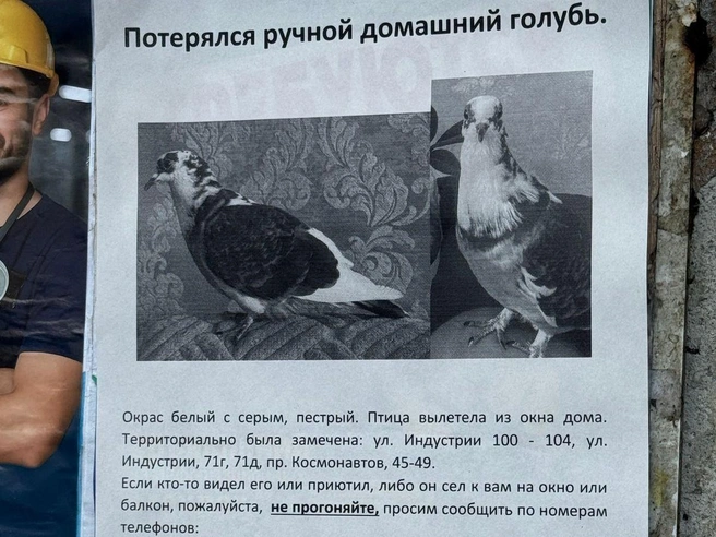 Источник: читательница E1.RU Ольга