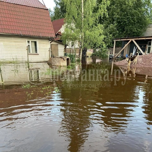 Источник: читатель «Фонтанки» Александр