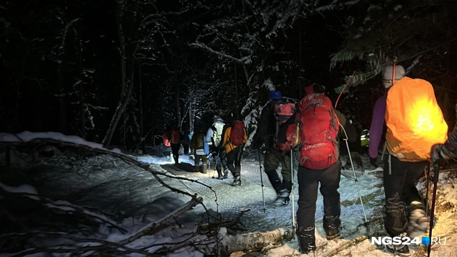 На поиске были 27 человек | Источник: Алексей Тайганавт / NGS24.RU