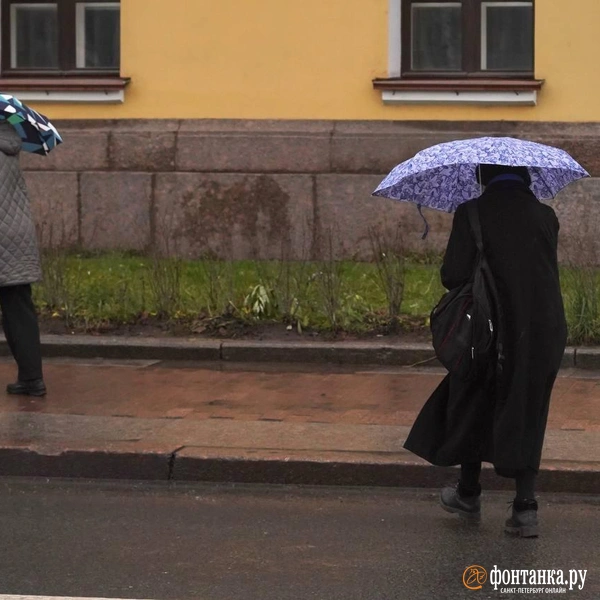 Источник: Павел Даиси / FONTANKA.RU