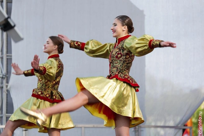 Источник: st.cherinfo.ru