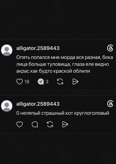 Жестокие комментарии о внешности кота | Источник: dollsprison / Threads (соцсеть запрещена на территории РФ)