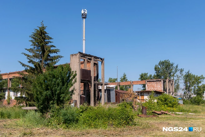 Связь на острове хорошая. Руины завода | Источник: Мария Ленц / NGS24.RU