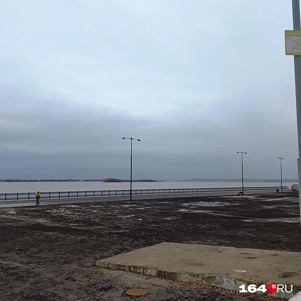 Источник: Сергей Гендин / 164.RU