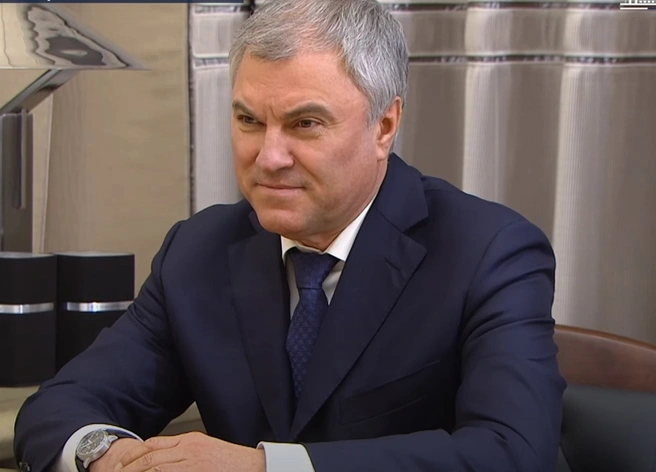Володин объяснил, будут ли наказывать по закону о чайлдфри за отказ рожать детей | ya62.ru