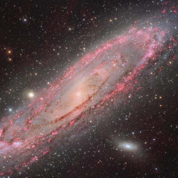 Спиральная галактика Андромеды (M 31), более известная под названием туманность Андромеды | Источник: Chuhong Yu, Jingyao Hong, Xi Zhu, Yaguang Wan / ZWO Astronomy Photographer of the Year 2025