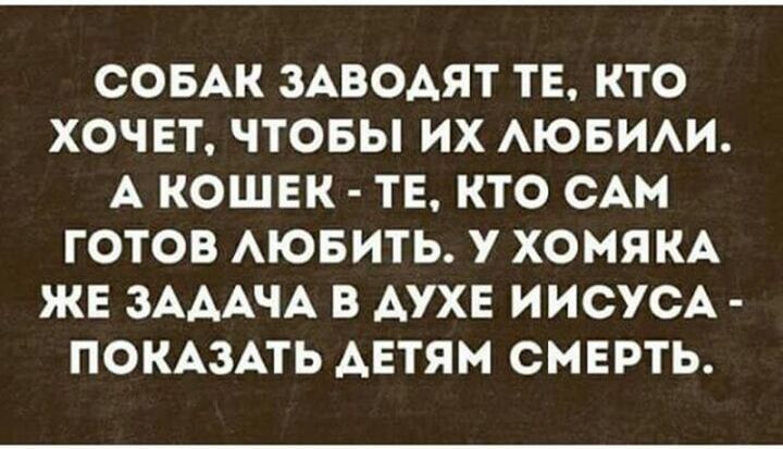 5 пород собак-долгожителей и 5 самых недолговечных