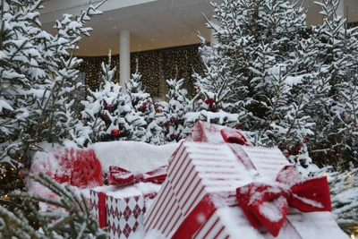 2025 год стал самым теплым в истории Москвы