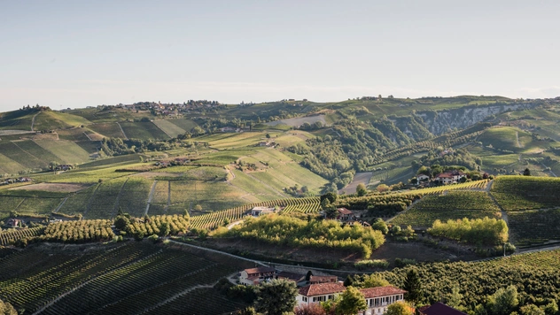 Игристое настроение