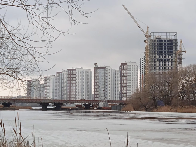 В Ульяновске ожидается сильный ветер и похолодание | Источник: Дмитрий Сильнов