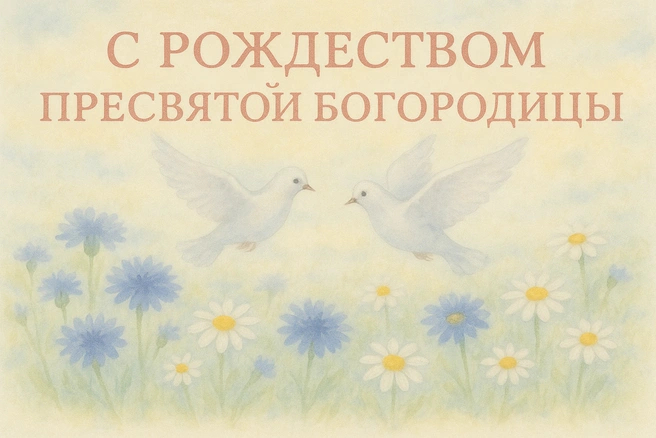 Источник: Городские медиа