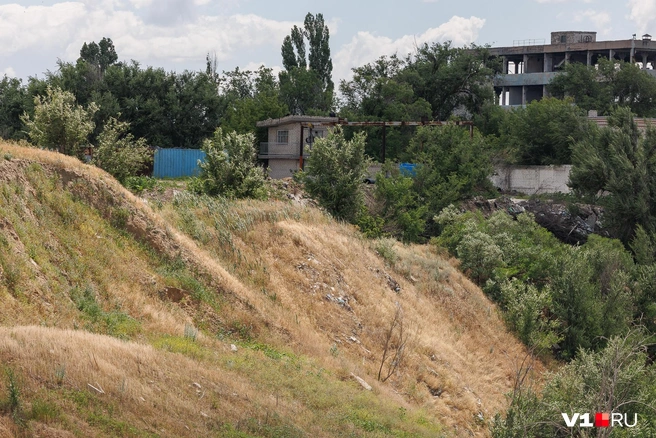 Вот так выглядит овраг за забором предприятия | Источник: Алексей Волхонский / V1.RU