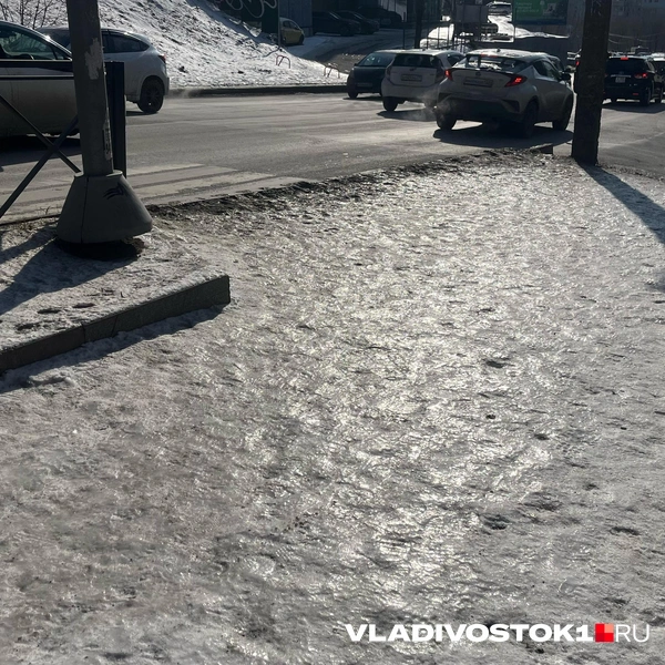 Источник: Елена Буйвол / VLADIVOSTOK1.RU