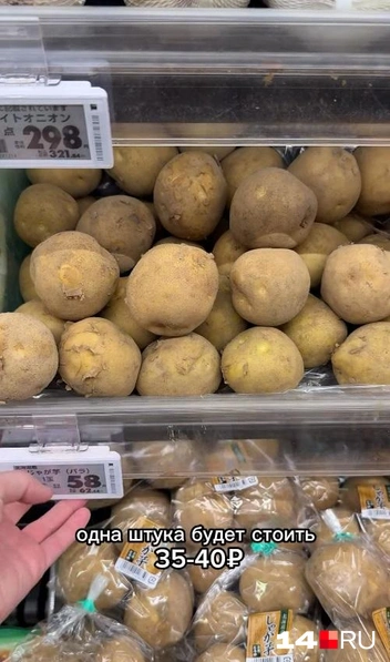 Картошка в Японии продается поштучно | Источник: Вида Ефремова