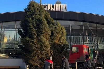 Живая новогодняя елка установлена на Московском рынке в Казани