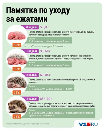 Источник: Дмитрий Гладышев