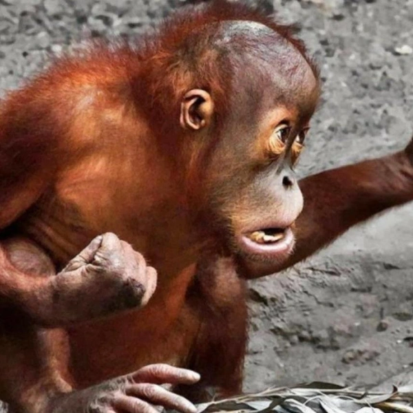 Источник: Соцсети