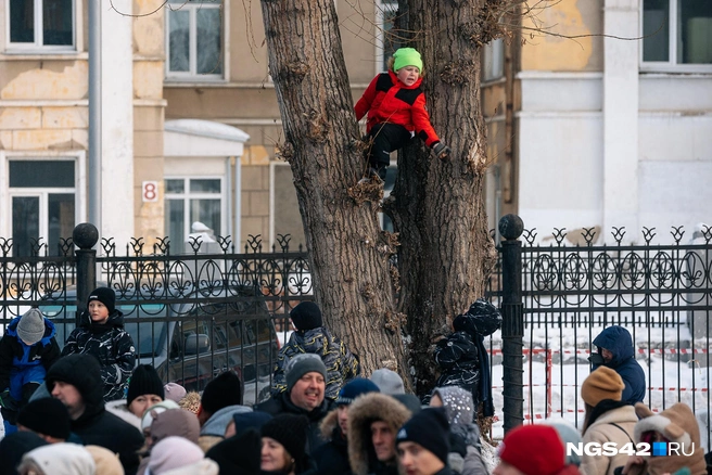 В Парке Чудес организовали большую программу в честь провода морозов  | Источник: Максим Серков / NGS42.RU 