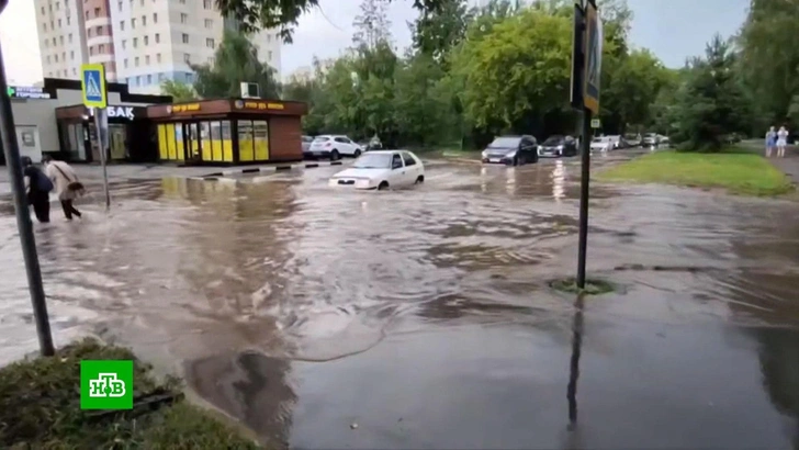Источник: кадр из видео канала НТВ