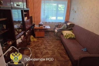 Сибиряк зарезал свою 98-летнюю бабушку