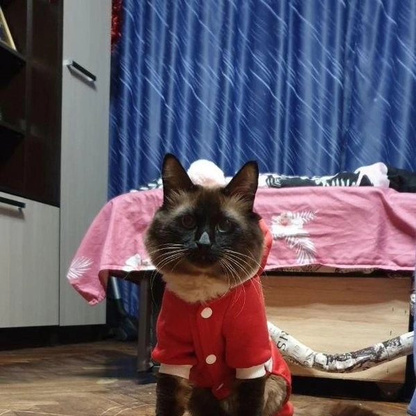 Источник: читатель ЗвероПятница🐶🐱🐰🦊🐭🥹