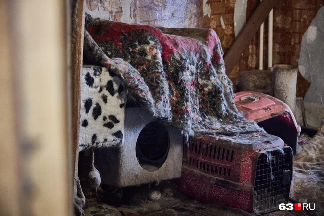 Для кошек тут есть отдельная дальняя комната | Источник: Роман Данилкин / 63.RU