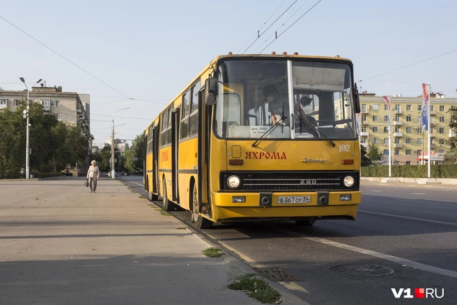 В летнее время легендарные автобусы еще можно встретить на дачных маршрутах в Волгограде | Источник: Константин Завриков / V1.RU