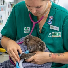 Как выглядят детеныши самых редких животных на планете: 25 фото🐼