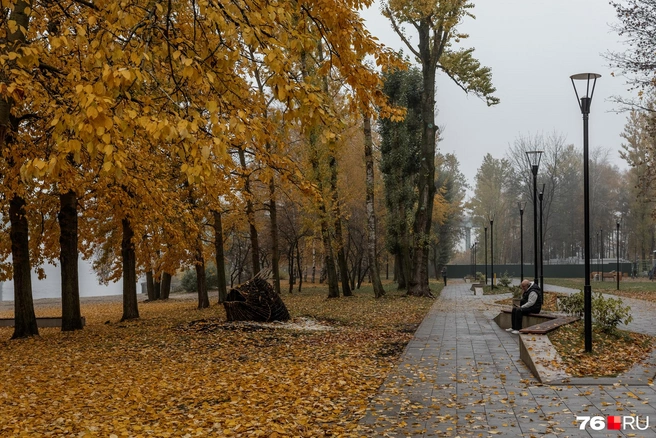Отличное место, чтобы насладиться тишиной и спокойствием | Источник: Александр Куренной / 76.RU