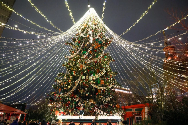 К удивлению гостей из-за рубежа, многие россияне предпочитают встречать Новый год дома, за праздничным столом, и смотреть телевизионные трансляции | 142.ru