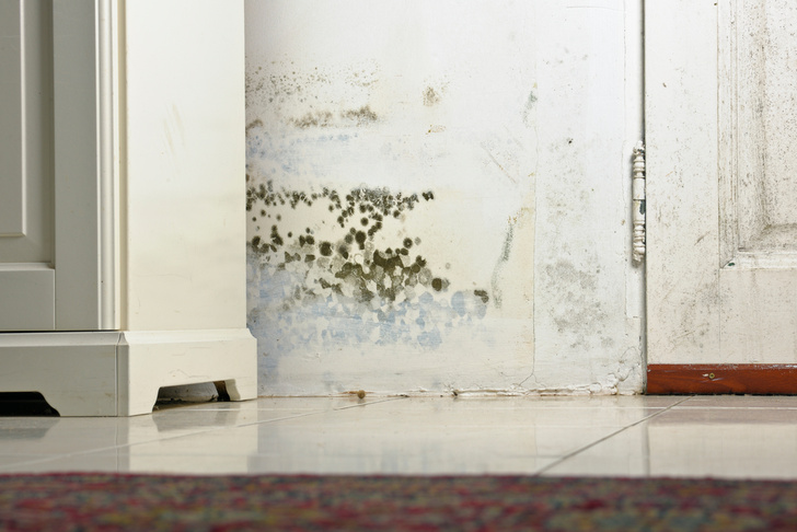 5 причин, почему в квартире сырые углы и стены